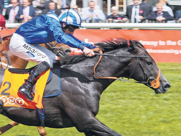 G2 July Stakes winner Alhebayeb, whose dam Miss Indigo was purchased at February for 6,500 gns