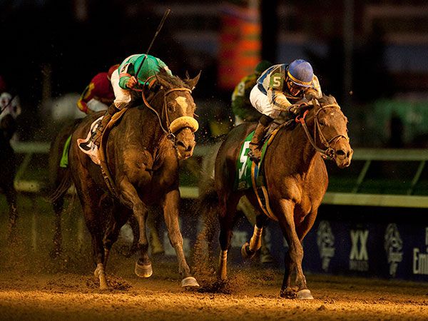 Blame (right) beating ZENYATTA in the Breeders' Cup Classic. (copyright Racing Post)