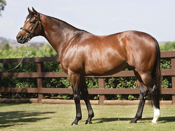 Galileo is represented by 6 yearlings