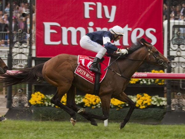 Green Moon winning the Melbourne Cup