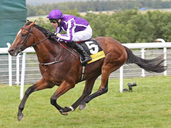 Book 1 yearling HIGHLAND REEL