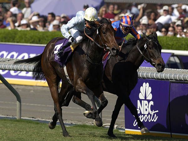 Islington Winning the G1 Breeders Cup Filly & Mare Turf