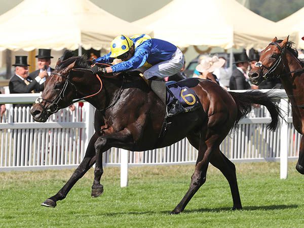 G1 Prince of Wales's Stakes winner POET'S WORD was a 300,000 guineas Book 2 purchase. 