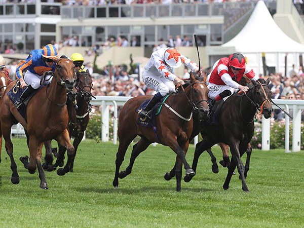 Signora Cabello Winning the G2 Queen Mary Stakes at Royal Ascot 