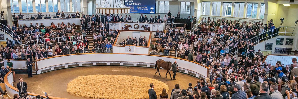 October Yearling Sale, Book 1