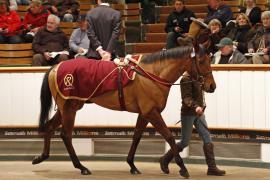 Lot  2085b Genuine Quality Tattersalls