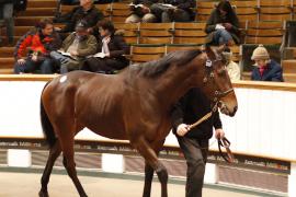 Lot  2125d Euphrasia Tattersalls