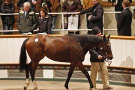 Lot  2130b Light Up My Life Tattersalls