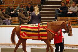 Lot  2175 T D M4567 Tattersalls