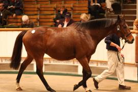 Lot  2276 T D M 0767 Tattersalls