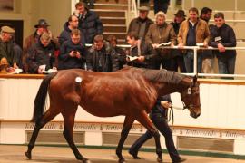 Lot  2283 T D M 0821 Tattersalls