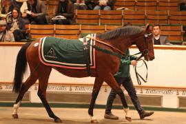 Lot  2295 T D M 0978 Tattersalls