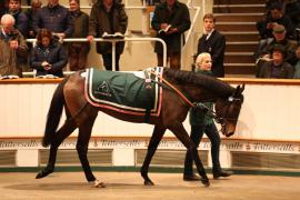 Lot  2298 T D M 1053 Tattersalls