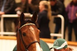 Lot  2307 T D M 1202 Tattersalls