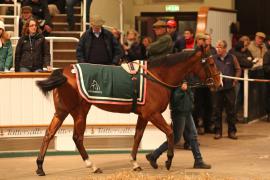 Lot  2307 T D M 1209 Tattersalls