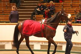 Lot  2324 T D M 1270 Tattersalls