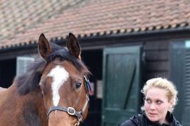 Lot  2480 T D M 0397 Tattersalls