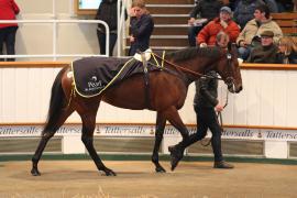 Lot  2543 T D M 0530 Tattersalls