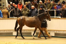 Lot  1813 T D M1273 Tattersalls