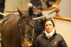 Lot  1814 T D M1333 Tattersalls