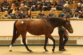 Lot  1819 T D M1419 Tattersalls