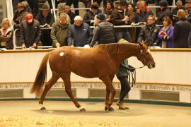 Lot  1820 T D M1514 Tattersalls