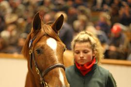 Lot  1820 T D M1522 Tattersalls