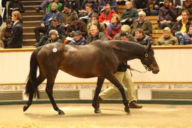 Lot  1826 T D M1791 Tattersalls