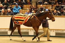 Lot  1840 T D M2027 Tattersalls