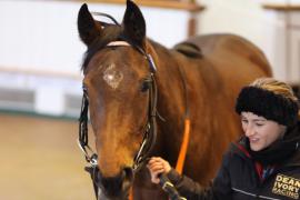 Lot  1963 T D M0163 Tattersalls