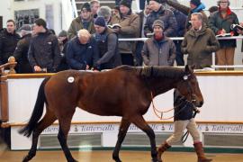 Lot  1963 T D M0216 Tattersalls