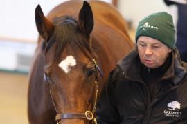 Lot  1966 T D M0257 Tattersalls