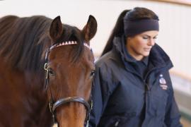 Lot  1996 T D M0389 Tattersalls