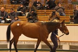 Lot  2085 T D M0650 Tattersalls