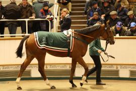 Lot  2105 T D M0882 Tattersalls