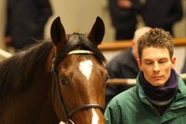 Lot  2110 T D M0942 Tattersalls