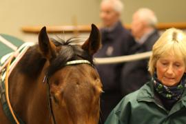 Lot  2112 T D M0996 Tattersalls