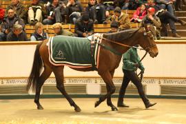 Lot  2125 T D M1031 Tattersalls