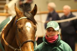 Lot  2125 T D M1069 Tattersalls