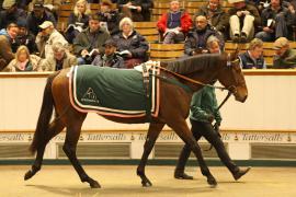 Lot  2125 T D M1072 Tattersalls