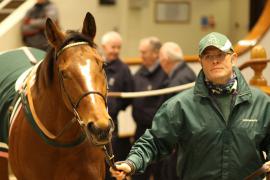 Lot  2126 T D M1148 Tattersalls