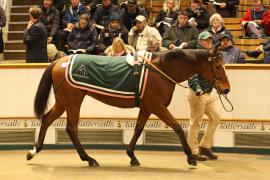 Lot  2126 T D M1153 Tattersalls