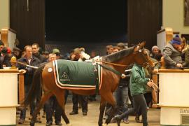 Lot  2133 T D M1220 Tattersalls