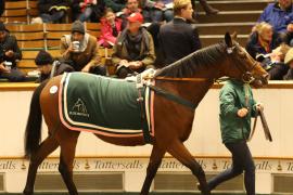 Lot  2133 T D M1289 Tattersalls