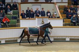 Lot  2133 T D M1299 Tattersalls