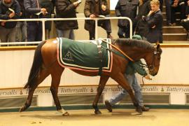 Lot  2135 T D M1654 Tattersalls