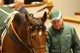 Lot  2135 T D M1682 Tattersalls