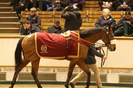 Lot  2147 T D M1737 Tattersalls