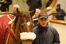 Lot  2147 T D M1757 Tattersalls