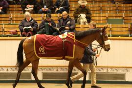 Lot  2147 T D M1765 Tattersalls